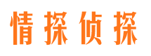 碾子山市婚外情调查